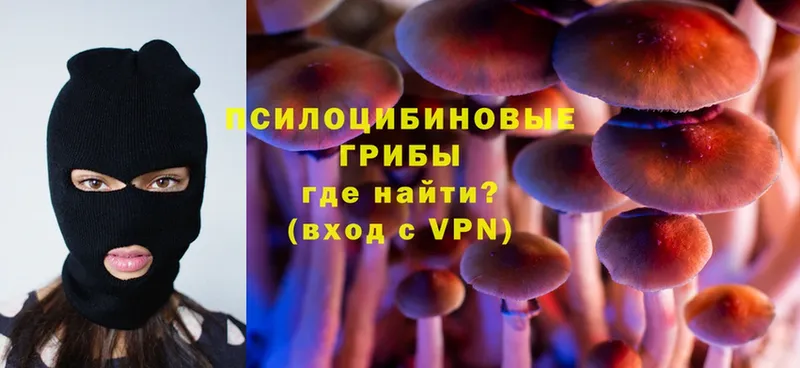 Галлюциногенные грибы Psilocybe  дарнет шоп  Сафоново 